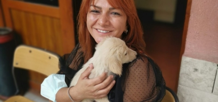  Barınak Ziyareti
